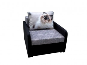 Кресло кровать Канзасик с подлокотниками кот голубые глаза в Чебаркуле - chebarkul.mebel74.com | фото