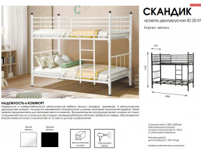 Кровать двухъярусная Скандик 42.20-01 в Чебаркуле - chebarkul.mebel74.com | фото 2