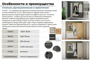 Прихожая Санти Белый/Дуб Крафт Золотой в Чебаркуле - chebarkul.mebel74.com | фото 3