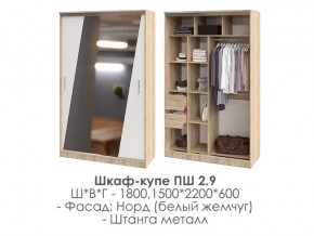 шкаф-купе ПШ-2.9 1500 Норд Белый жемчуг 1500 в Чебаркуле - chebarkul.mebel74.com | фото