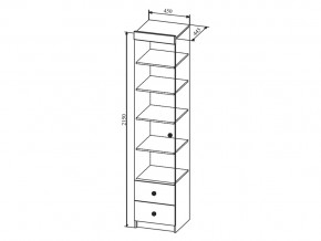 Шкаф Сканди ШД450.1 в Чебаркуле - chebarkul.mebel74.com | фото 2