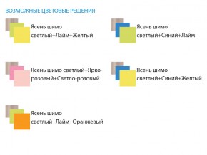 Уголок школьника Юниор 4.1 лайм/оранжевый в Чебаркуле - chebarkul.mebel74.com | фото 3